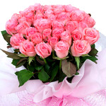 a pink rose bunch.jpg