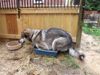 !cid_3_2990197237@web140503_mail_bf1_yahoo.jpg
