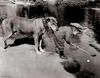 !cid_22_2990288974@web140501_mail_bf1_yahoo.jpg