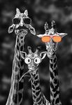 sunny giraffes.jpg