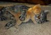 !cid_1F66A228EDED43D5A7AD535D69FA9515@Grant.jpg