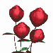 roses-38.gif