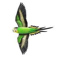 tweet.jpg