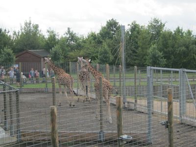 banham new 001.jpg
