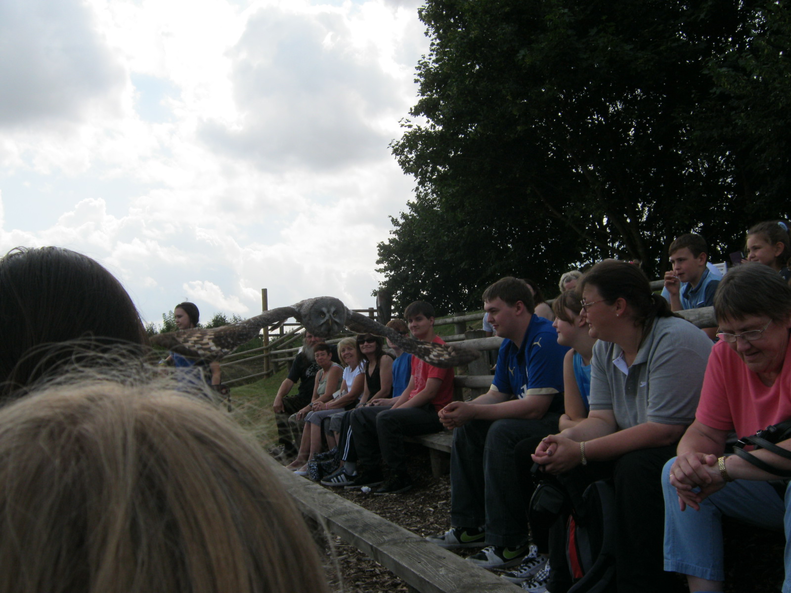 banham new 063.jpg