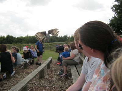 banham new 065.jpg