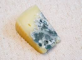 cheese.jpg