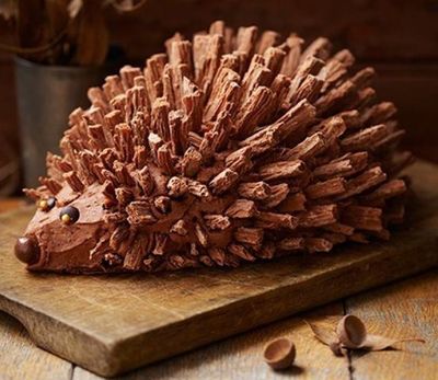 choccy hedgehog.jpg