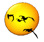 sun4.gif