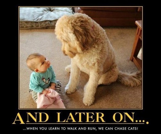 dog and baby.jpg