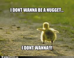 nugget.jpg
