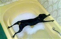 bath.jpg