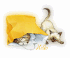 112007Hello.gif