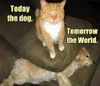 !cid_48A6FDDD3BE242938F433494E93E736D@Fairway.jpg
