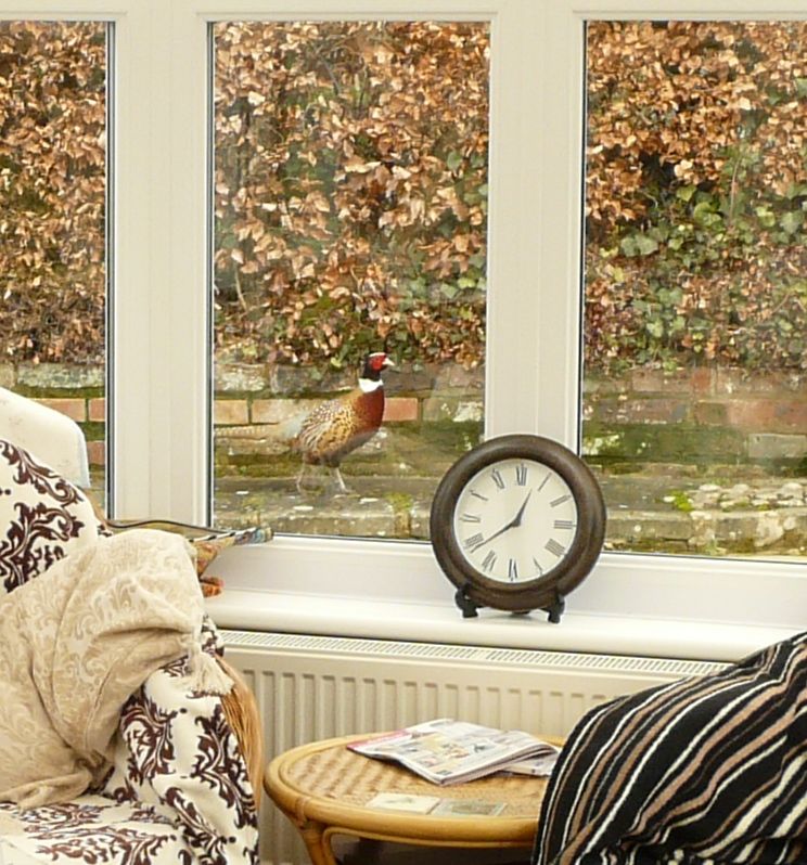 2015-02-16 13.51.09.jpg