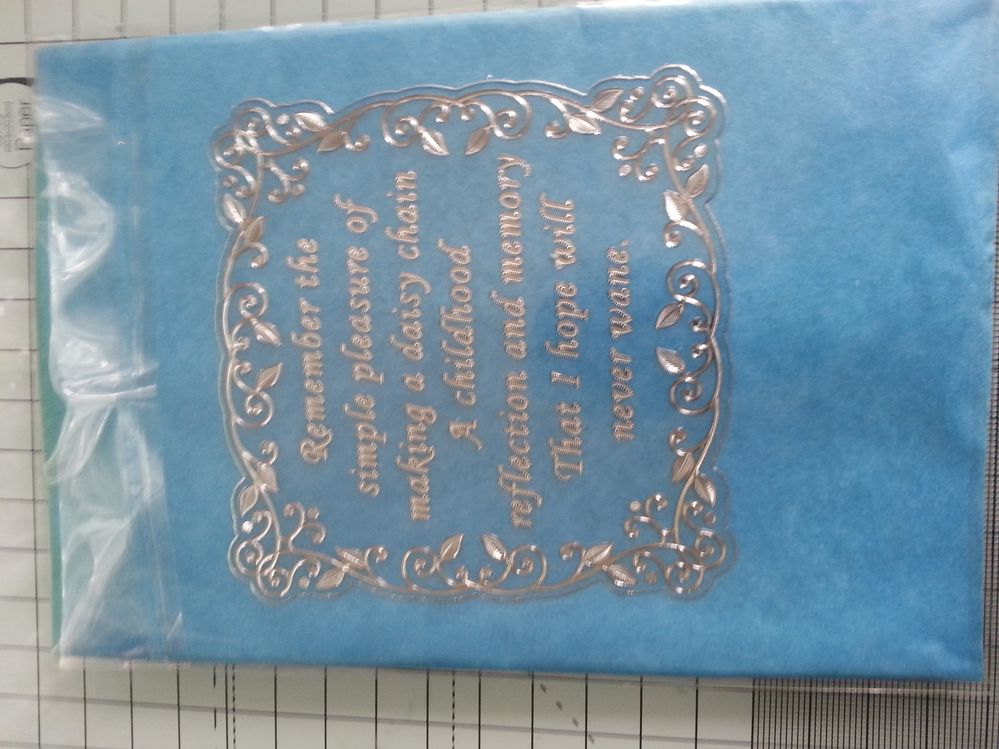 20130823_151911.jpg