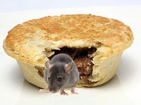 meat pie.jpg