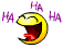 laffin smiley 2.gif
