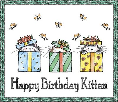 25 - kitten347 - August25.jpg