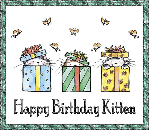 25 - kitten347 - August25.jpg