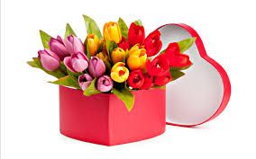 tulips.jpg