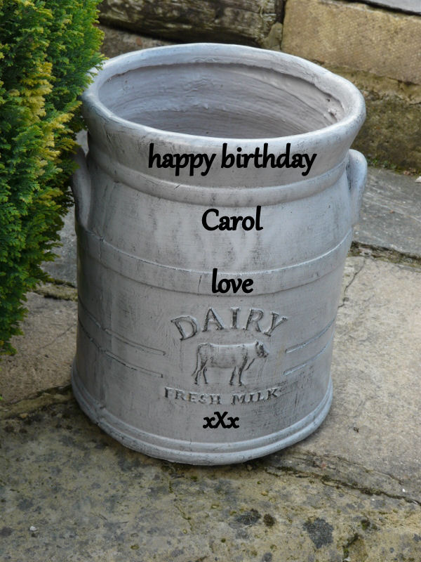 carol002 (600x800).jpg