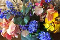 102_0162.JPG