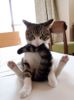 !cid_9A1E56F31D904F1DB0AAA7CF40F1DF95@Fairway.jpg
