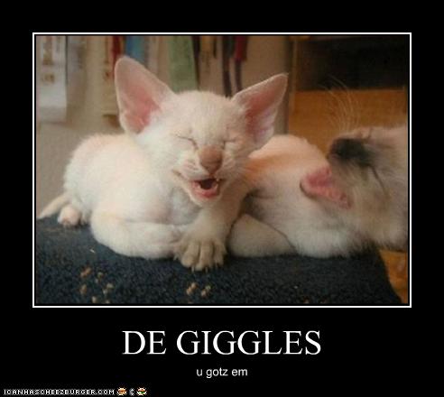 de giggles puss.jpe