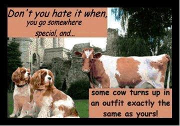 Hate it.jpg