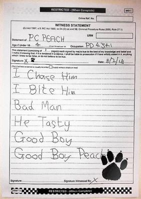 pc-peach-report.jpg