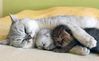 !cid_25_2175023509@web142703_mail_bf1_yahoo.jpg