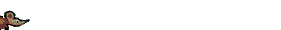 mouse102.gif