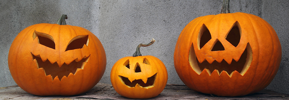 pumpkins.png