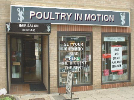 POULTRYSHOP.jpg