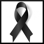 IMG_0960.PNG