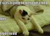 !cid_82A8F4E72DFA4411AA59174B36534E33@Fairway.jpg