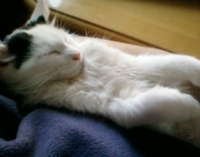 kit chillin.jpg