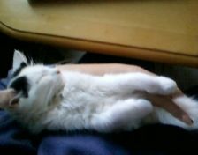 kit chillin 2.jpg
