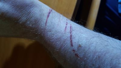 20170925_090708.jpg