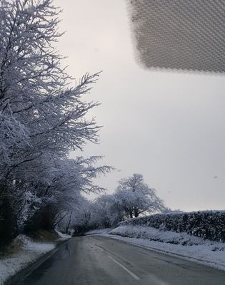 20171226_113957.jpg