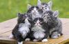 bth_image-AA0F_4AF6028A.jpg