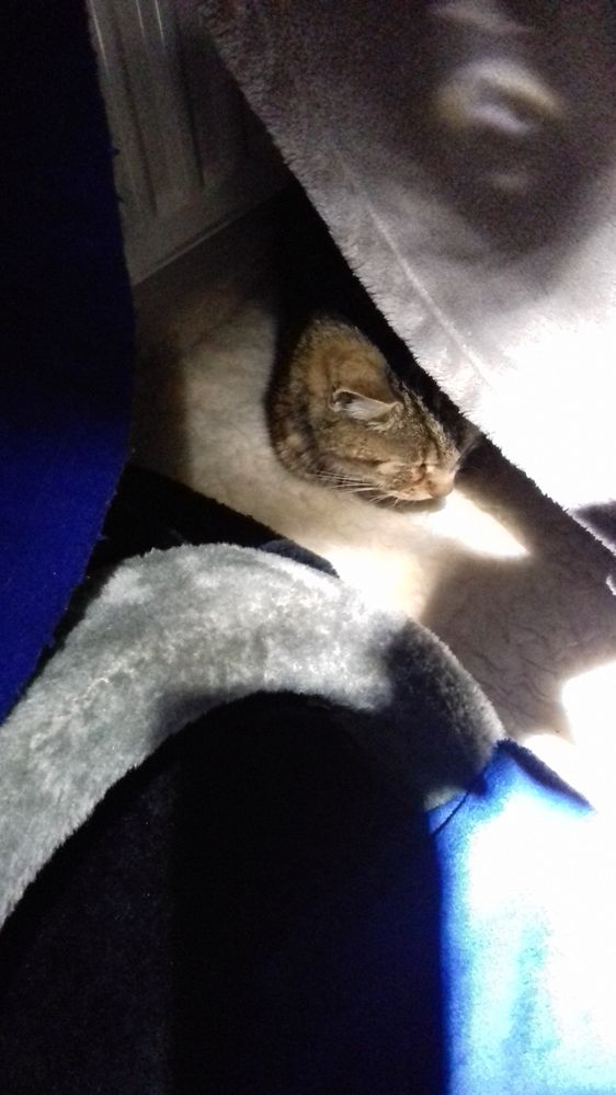 20171226_Amy tent.jpg