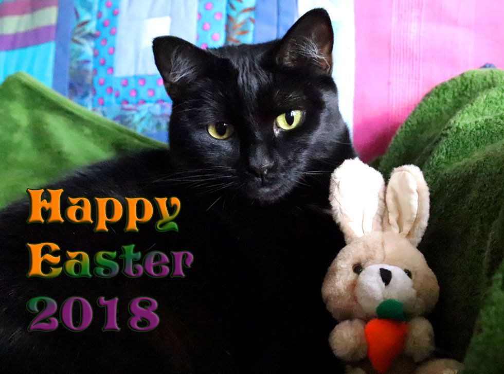 Easter_2018_Luna copy.jpg