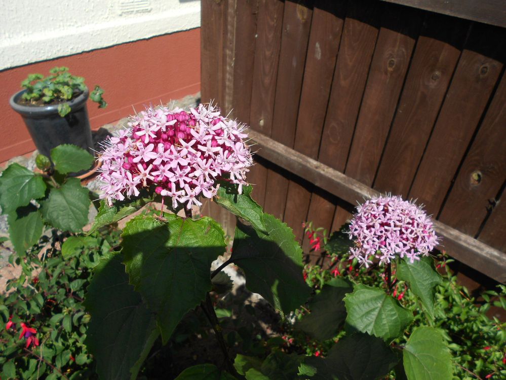DSCN2050.JPG