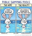 funny-public-swimming-pool-comic-pee-band-aids-pics.jpg