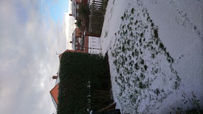 DSC_0592.JPG