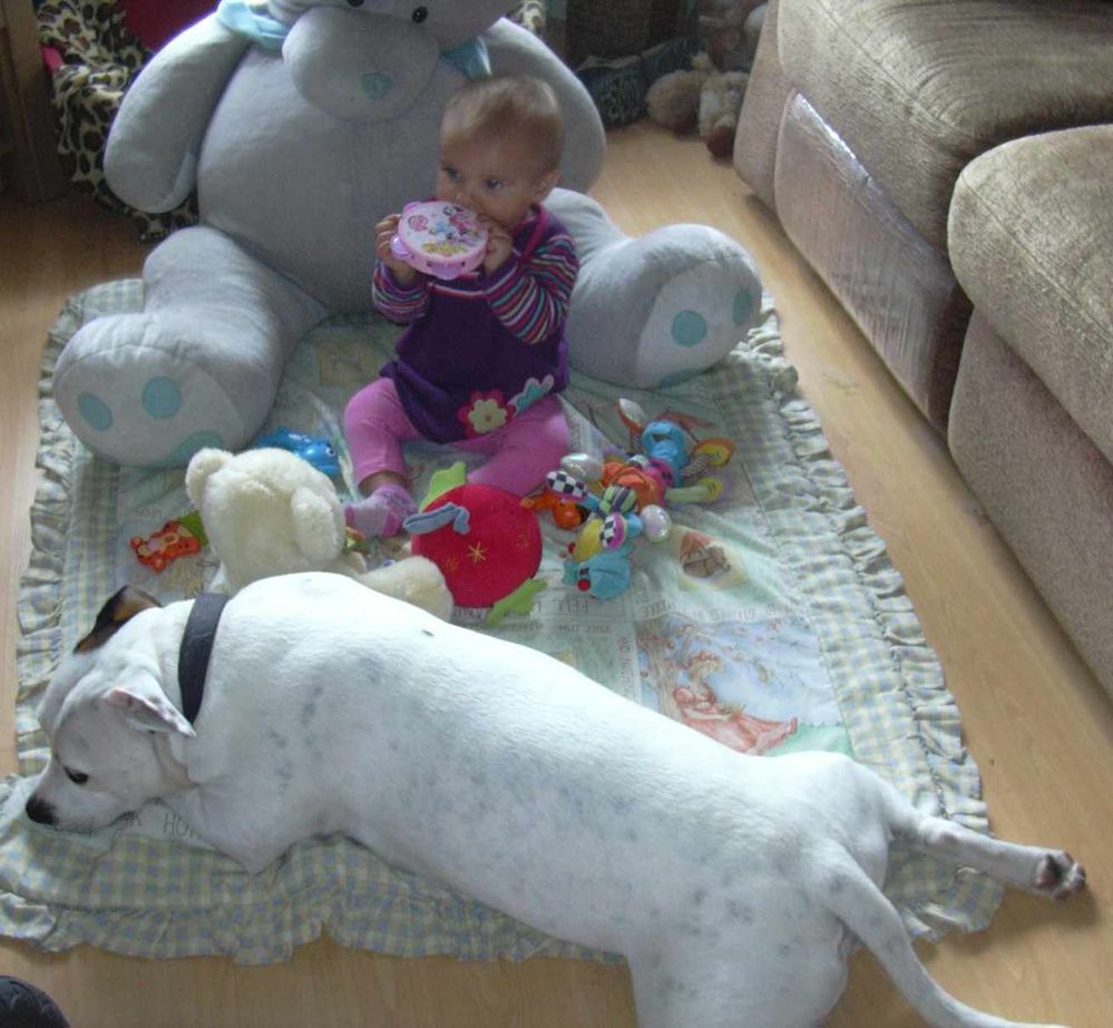 milly roly 1.jpg