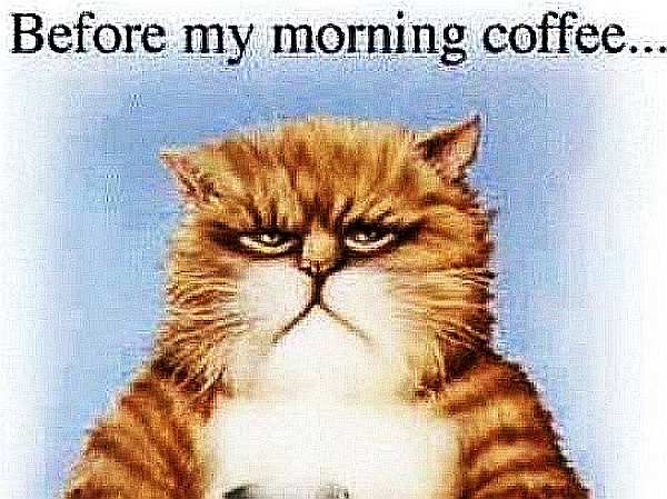 before-morning-coffee01b.jpg