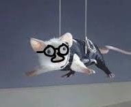 mousy impossible3.jpg